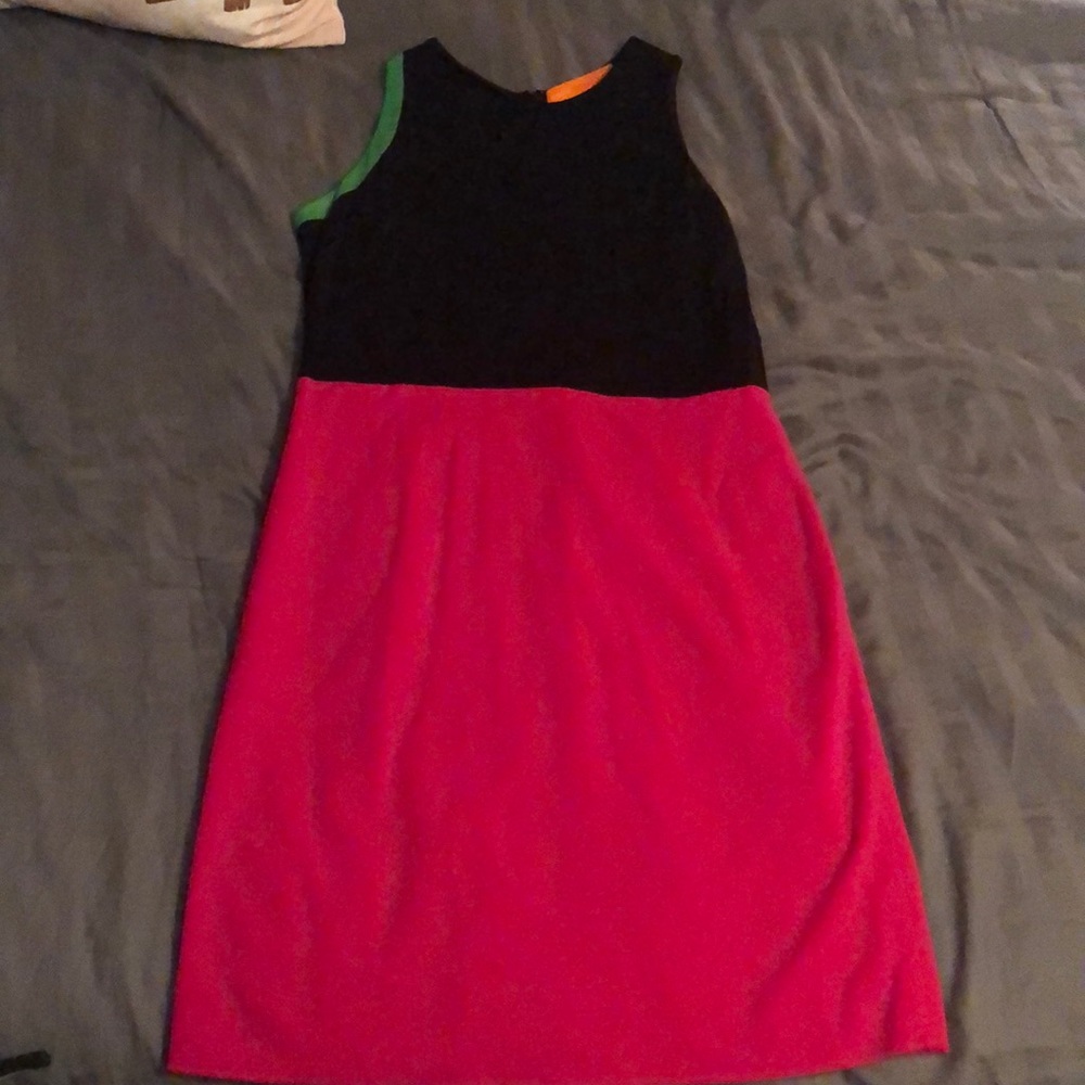 Cynthia Steffens Color Block dress
